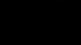 Korean amateur sex video